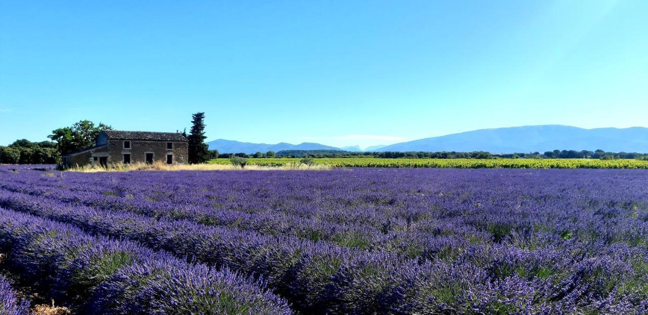 Villa L'Instant Provence Valréas Exterior foto